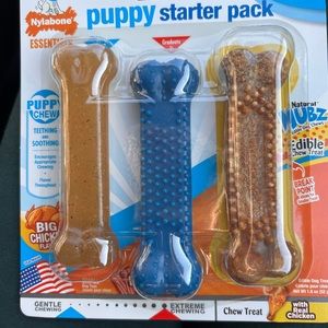 12 bones!  NIB Nylabone Puppy Starter Pack. Lot of 4 with 3 bones.